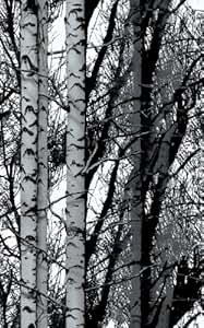 bricolage peintures outils et traitement des murs stickers muraux