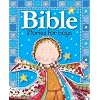 Bible Stories for Boys