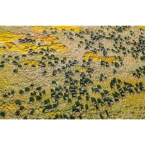 The World's Most Magical Wilderness Escapes