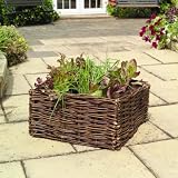 Salad & Herb Willow Planter