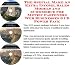 Book The Special Make An Extra Income, Sales Models and eCommerce for Metric Fasteners Web Businesses 3 CD Power Pack