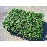 ���i�̏ڍ�