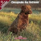 Eigenschaften Avonside Publishing Ltd.  / Kalender 2009 Chesapeake Bay Retriever