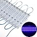 ChiChinLighting 100 Pieces (20 pcs x 5 Packs) - 12 Volt LED Module - SMD LED Chip - Super Bright - IP65 Waterproof (Blue)
