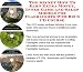 Book The Secret How To Earn Extra Money, Inner Game and Sales Models for Flashlights Web Biz 3 CD Course