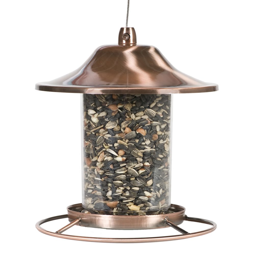 Perky-Pet Copper Panorama Bird Feeder 312C 8L X 8W Ins. Perky-Pet 21 61il1Ky97vL