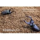 成虫用埋め込みマット１０リットル袋入り【ガス抜き済み】