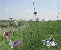 Electric Fence: Baited Deer Control 660 ft Solar Powered