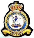 RAF Royal Air Force Locking Blazer Badge