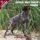 German Shorthair Pointer 2009 Wall Calendar