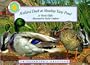 Mallard Duck at Meadow View Pond - a Smithsonian's Backyard Book (Mini book)