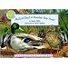 Mallard Duck at Meadow View Pond - a Smithsonian's Backyard Book (Mini book)