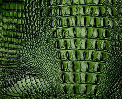 EXOTIC LEATHER SKIN HIDES - VARIOUS COLORS CROCODILE FULL SKIN HIDE - 20 Sq.ft (Hornback) (Emerlad Green)