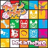 ワンダー×ワンダー [CD+DVD, Limited Edition]