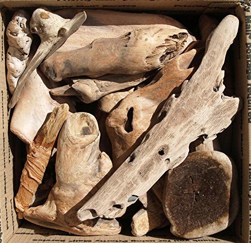 Driftwood - All Natural - Pacific Northwest Ocean Beaches - Each Piece Unique - Crafters Bonanza - Priority Shipping U.S.A. Large Box