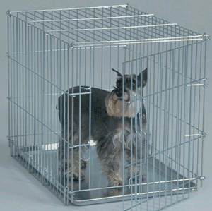 General Cage 403 Valu Line Collapsible 30 Inch Dog Crate - Silver Finish