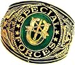 Special Forces Ring - 18K Heavy Gold Electroplated Ring with Stone - Army SPECIAL FORCES Military Ring - U.S. ARMY - for Military gear ARMY Uniform Veteran Ring.