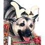 Reindeer Dog Antlers