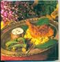 The Best of India: A Cookbook