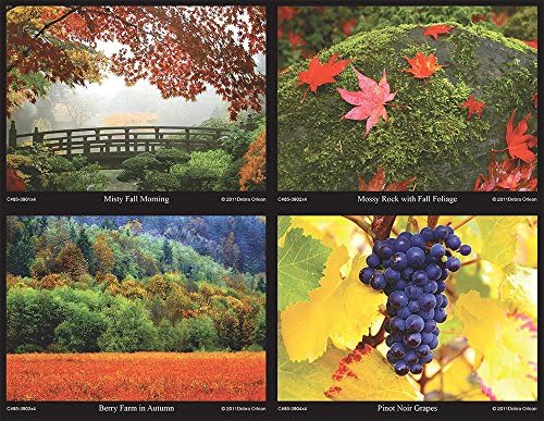 DI Direct C-85 "Orlean Fall" Laser Card