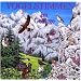 Vogelstimmen-Serie, Ed. 7: Vogelstimmen im Gebirge (1 Audio-CD)