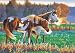 Dimensions Needlecrafts Paintworks Paint By Number, Pasture Buddies