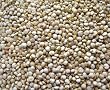 White Quinoa, 5 Lb Bag Certified Organic Non-GMO Whole-grain