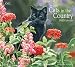 2012 Cats In The Country Wall Calendar
