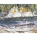 Art of Fly Fishing 2012 Wall Calendar