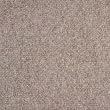 Indoor/Outdoor Carpet/Rug - Beige - 6' x 10' with Marine Backing