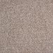 Indoor/Outdoor Carpet/Rug - Beige - 6' x 10' with Marine Backing