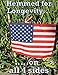 12-Pack American Stick Flag 4