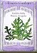 Rustic Arugula Heirloom Seeds 1000 Seeds