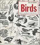 Ways of drawing birds : a guide to expanding your visual awareness