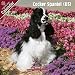 cocker spaniel - Cocker Spaniel (US) 2009 Wall Calendar 12