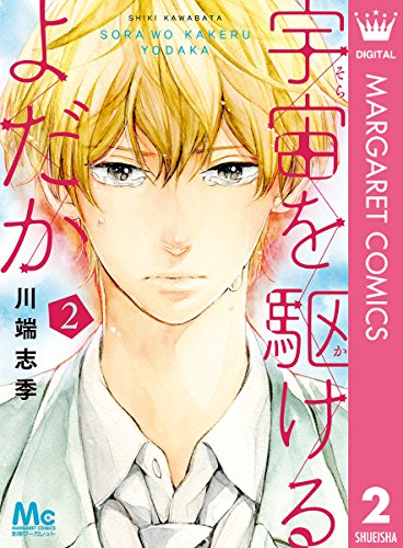 宇宙を駆けるよだか