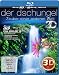 Der Dschungel 3D - Zauber einer anderen Welt [3D Blu-ray]