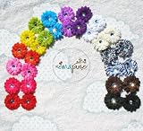 Ema Jane - 28 Assorted 'Ema Jane' Boutique Quality Small Gerber Daisy (Double Matching Colors, 2 Sets of 14) Flower Hair Clip Bows - Infants, Baby, Toddlers, Youth, Girls - Hair Clip Attaches to Headbands, Beanies, or Hair
