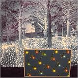 Review Everstar  / Set of 70 LED Multi-Color Net Style Christmas Lights 24 Square Feet #ES76-260