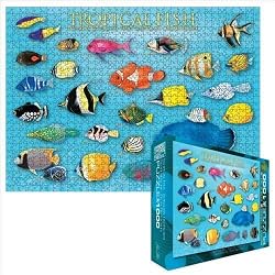 Tropical Fish 1000 Piece Jigsaw Puzzle Eurographics