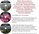 The Guerilla Marketing, Building Effective Lead Capture Web Pages, Sales Letters for Handheld Walkie-Talkies Businesses
