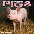 Pigs 2009 Wall Calendar