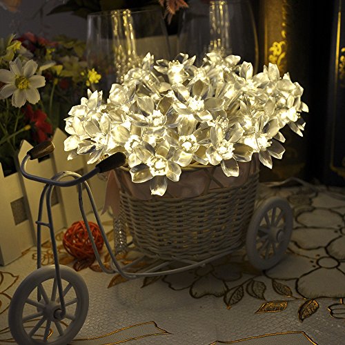 examen Lychee 4m 40LED Guirlande à Fleur de Pêcher foctionner sur pile Décoration pour Extérieur Intérieur Mariage Domicile Jardin Fête Noël (Blanc chaud)