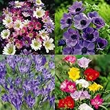 Détails sur le produit