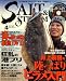 SALT & STREAM (ソルトアンドストリーム) 2009年 04月号 [雑誌]の画像