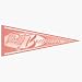 5 Tampa Bay Buccaneers Pink NFL Wholesale Team Pennants