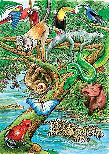 Life in a Tropical Rain Forest, A 35 Piece Jigsaw Puzzle by Cobble Hill