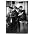 Thumbnail image of Babyshambles