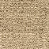 61j2c2G8k8L. SL160 8318 0000 Linen Sesame Indoor / Outdoor Furniture Fabric