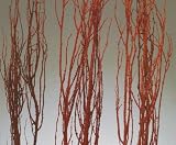 Birch Branches with Moss 3-4 Feet, Package of 5